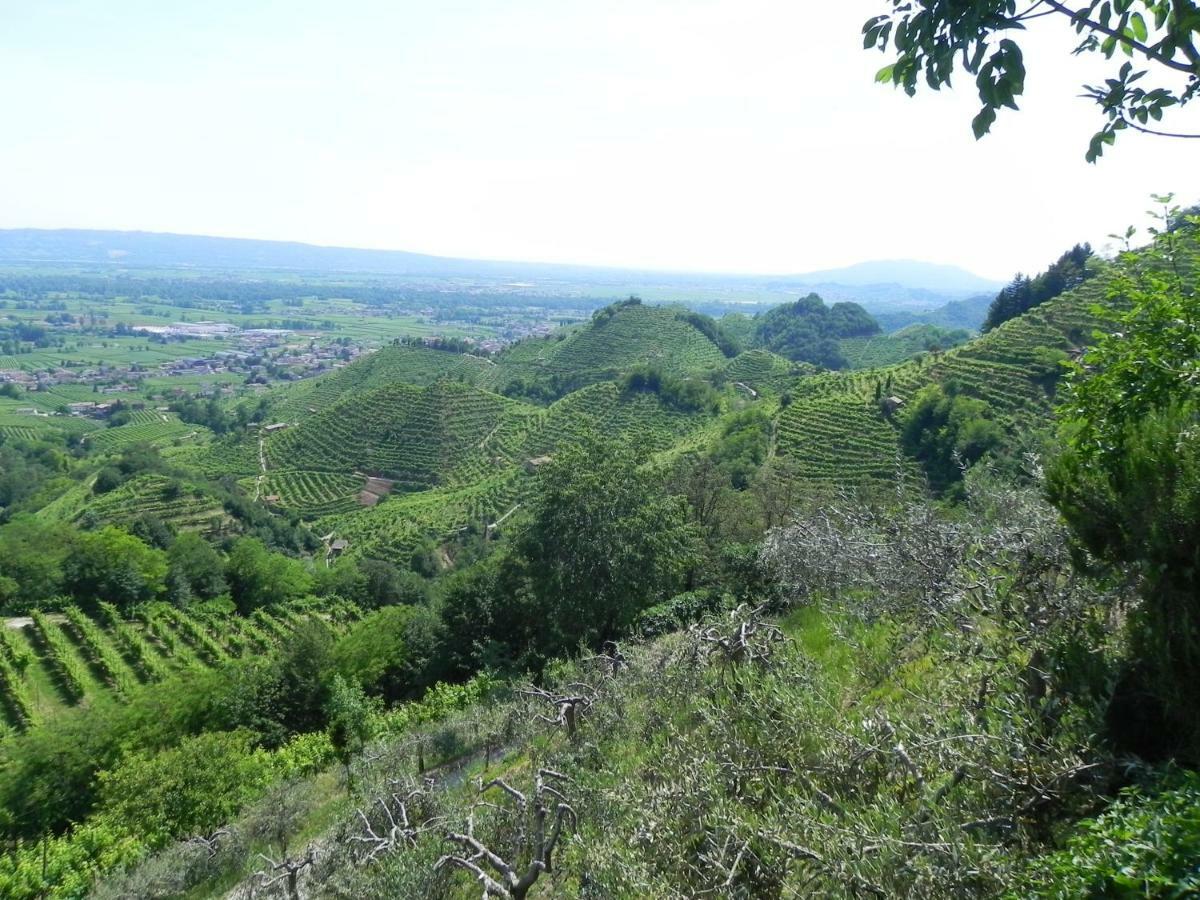 da Meri tra le colline del prosecco DOCG locazione turistica Farra di Soligo Esterno foto