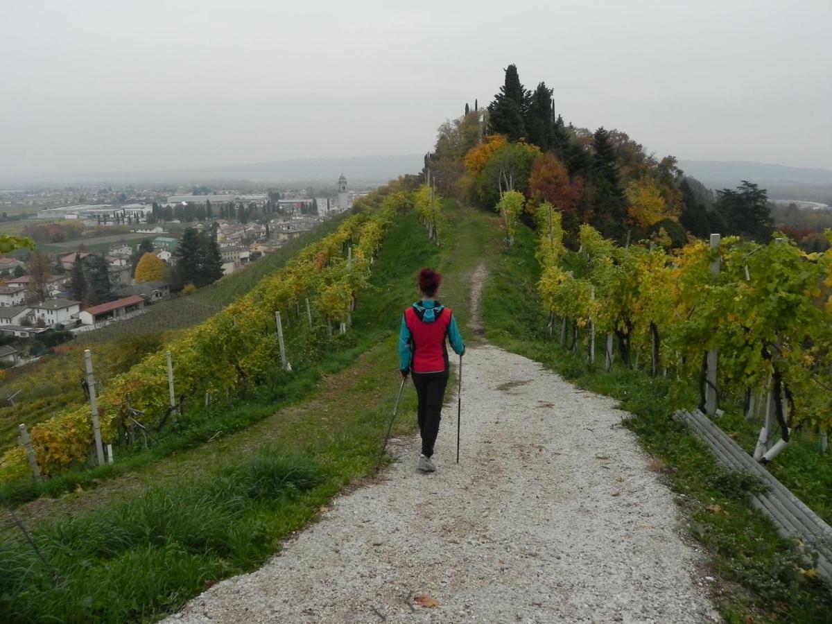 da Meri tra le colline del prosecco DOCG locazione turistica Farra di Soligo Esterno foto